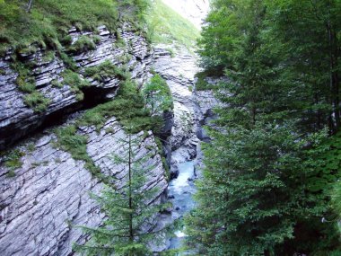 Kanyon ve akış Sandbach yukarıda Linthal - Canton Glarus, İsviçre