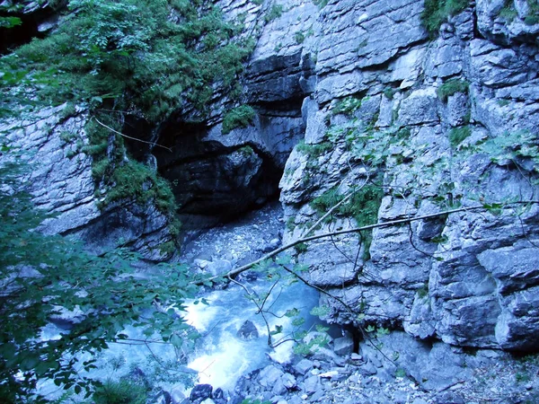 Canyon Patak Sandbach Felett Linthal Canton Glarus Svájc — Stock Fotó