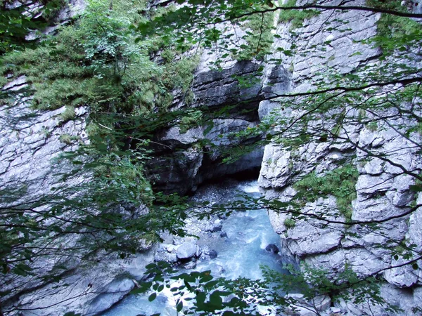 Kanyon ve akış Sandbach yukarıda Linthal - Canton Glarus, İsviçre