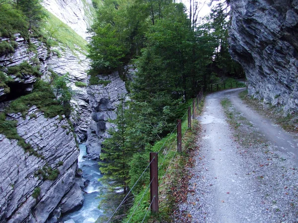 Kanyon ve akış Sandbach yukarıda Linthal - Canton Glarus, İsviçre