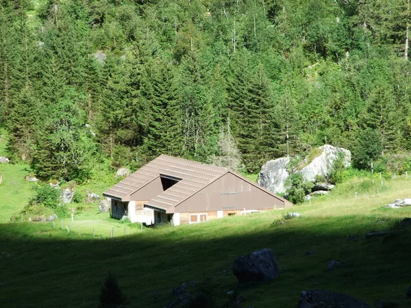 Stánky Hospodářství Pastviny Dobytka Údolí Sandbach Creek Kanton Glarus Švýcarsko — Stock fotografie