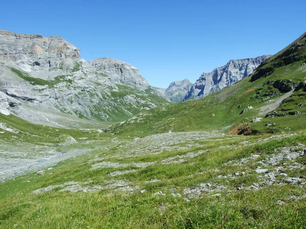 Alp Vadisi Ober Kum Glarus Sviçre — Stok fotoğraf