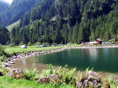 Murgbach akarsu - Kanton St. Gallen, İsviçre bir küçük Baraj Gölü