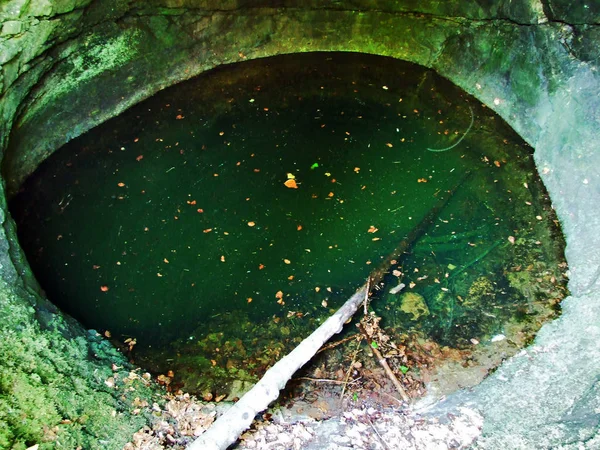 Uma Fonte Caverna Ughuur Brune Ughur Brunna Cantão Gallen Suíça — Fotografia de Stock