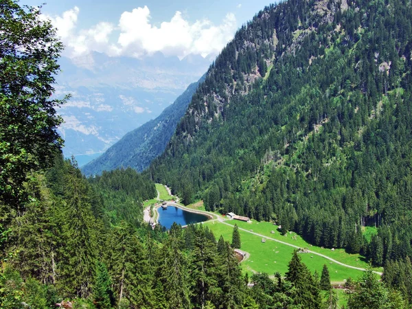 Piccolo Lago Artificiale Lungo Torrente Murgbach Kanton San Gallo Svizzera — Foto Stock