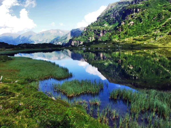 Alp Gölü Mittlerer Murgsee Glarus Alp Dağ Silsilesi Gallen Kantonu — Stok fotoğraf