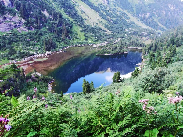 Alpine Lake Unterer Murgsee Glarus Alps Mountain Range Canton Gallen — Stock Photo, Image