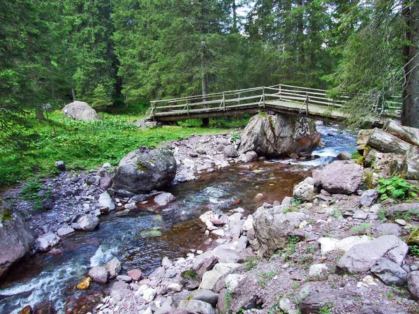 Strumienia Alpejskiego Murgbach Wzdłuż Murgtal Dolina Kanton Gallen Szwajcaria — Zdjęcie stockowe