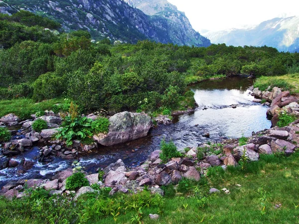 Murgbach Murgtal Kanton Gallen Schweiz — Stockfoto