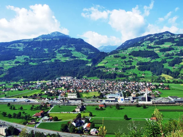 Вид Сливовое Наследие Реке Зеецталь Кантон Санкт Галлен Швейцария — стоковое фото