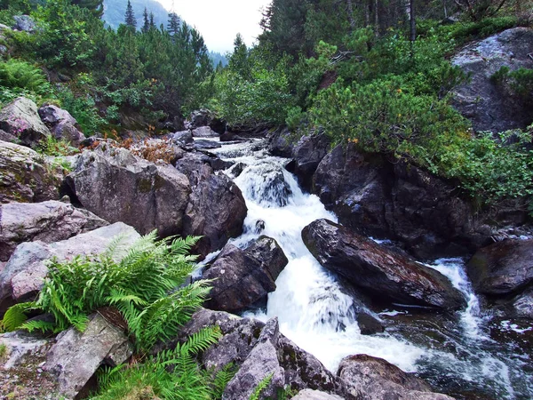 Cascate Sul Torrente Murgbach Nella Valle Alpina Del Murgbachtal Cantone — Foto Stock