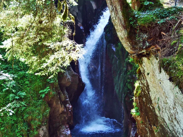 Cascada Arroyo Murgbach Sobre Asentamiento Murg Cantón Gallen Suiza — Foto de Stock