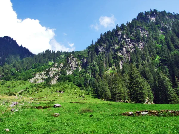 Murgtal Dal Längs Murg Ström Kantonen Sankt Gallen Schweiz — Stockfoto