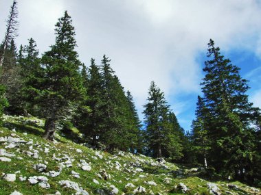 Taşlar ve kayalar dağ kütlesi Alpstein -: Appenzell Innerrhoden Canton, İsviçre