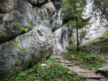 Taşlar ve kayalar dağ kütlesi Alpstein -: Appenzell Innerrhoden Canton, İsviçre
