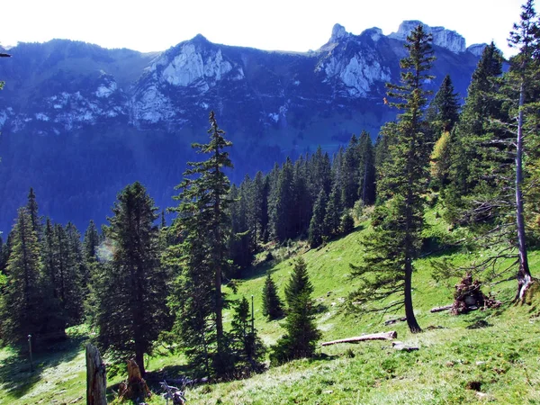 Pastizales Fotogénicos Colinas Cordillera Alpstein Cantón Appenzell Innerrhoden Suiza —  Fotos de Stock