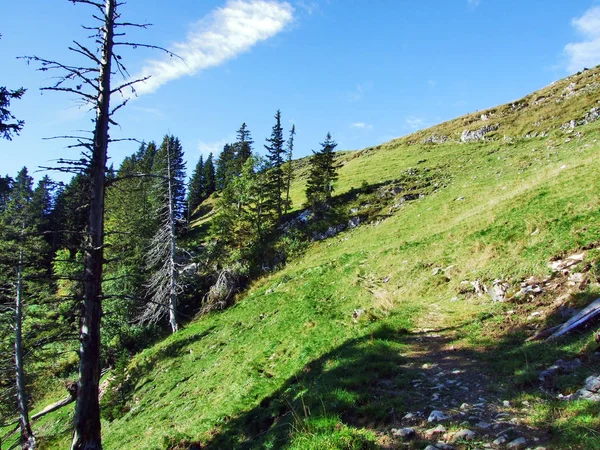 Fotogeniczny Pastwiska Wzgórza Alpstein Pasmo Górskie Kanton Appenzell Innerrhoden Szwajcaria — Zdjęcie stockowe