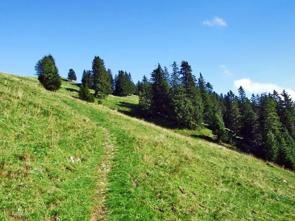 Fotogene Almen Und Hügel Des Alpsteingebirges Kanton Appenzell Innerrhoden Schweiz — Stockfoto