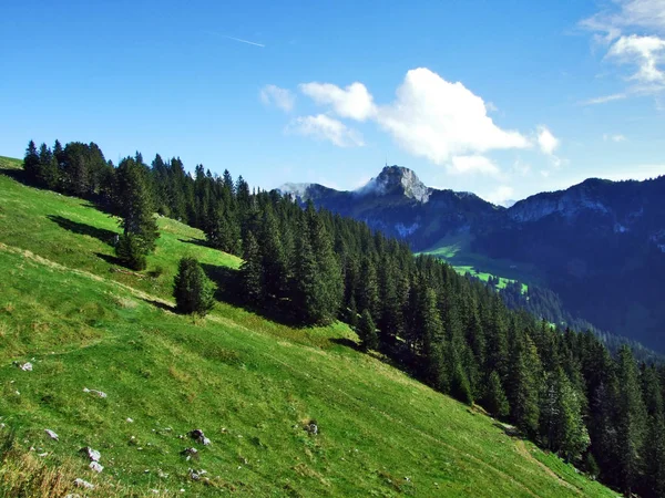 Fotogenieke Weilanden Heuvels Van Alpstein Bergketen Kanton Appenzell Innerrhoden Zwitserland — Stockfoto