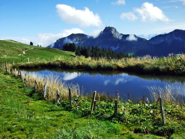 Pastizales Fotogénicos Colinas Cordillera Alpstein Cantón Appenzell Innerrhoden Suiza — Foto de Stock