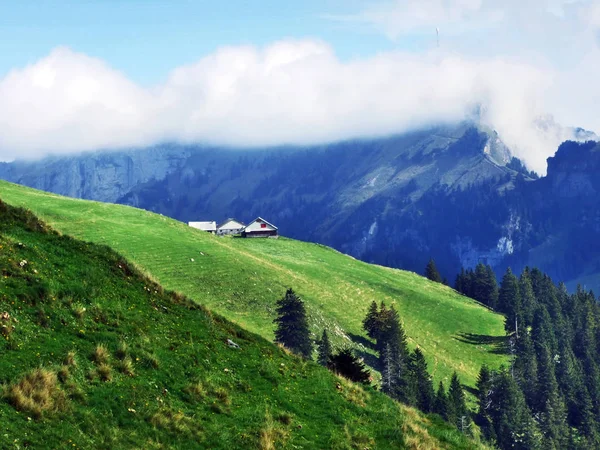 Pastagens Colinas Fotogénicas Cordilheira Alpstein Cantão Appenzell Innerrhoden Suíça — Fotografia de Stock