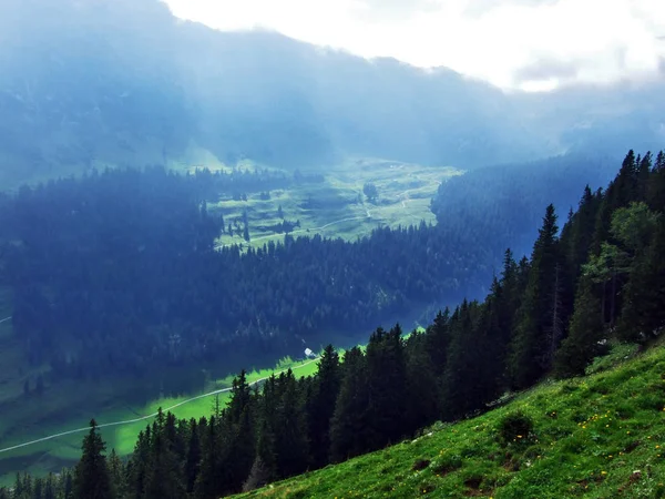 阿尔普斯坦山脉的光生牧场和丘陵 瑞士阿彭策尔内罗登州 — 图库照片