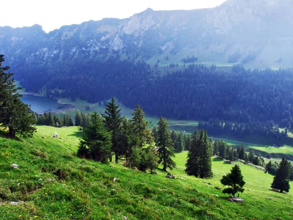 Pastizales Fotogénicos Colinas Cordillera Alpstein Cantón Appenzell Innerrhoden Suiza — Foto de Stock