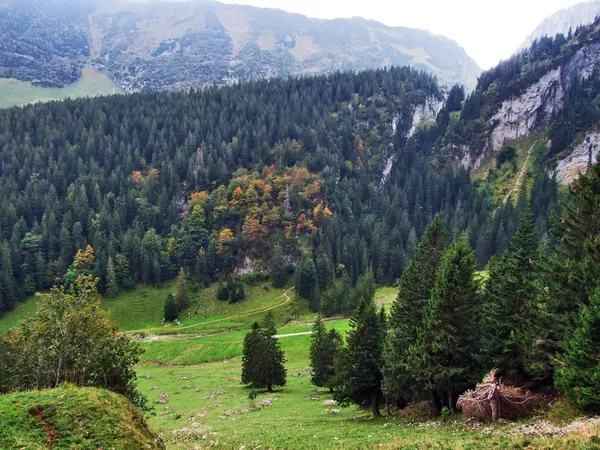 Pastizales Fotogénicos Colinas Cordillera Alpstein Cantón Appenzell Innerrhoden Suiza — Foto de Stock