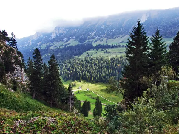 Fotogeniczny Pastwiska Wzgórza Alpstein Pasmo Górskie Kanton Appenzell Innerrhoden Szwajcaria — Zdjęcie stockowe