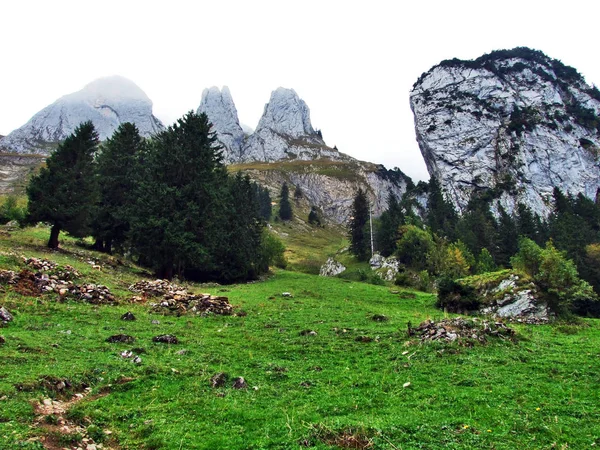 Fotogenieke Weilanden Heuvels Van Alpstein Bergketen Kanton Appenzell Innerrhoden Zwitserland — Stockfoto