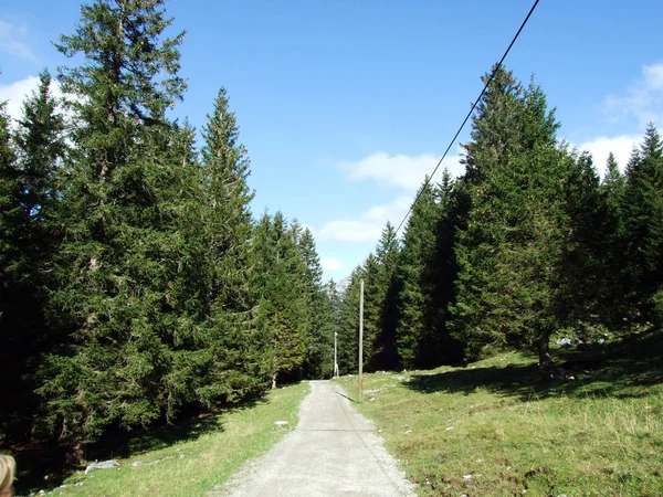 Fotojenik Mera Tepeler Alpstein Dağ Silsilesi Appenzell Innerrhoden Canton Sviçre — Stok fotoğraf