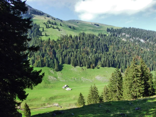 写真写りの牧草地と Alpstein アッペンツェル Innerrhoden カントン スイス連邦共和国の丘 — ストック写真