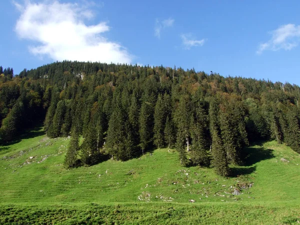 Pâturages Photogéniques Collines Chaîne Montagnes Alpstein Canton Appenzell Innerrhoden Suisse — Photo