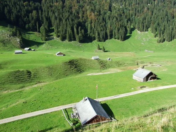Stallen Boerderijen Runderen Weiden Van Alpstein Bergketen Kanton Appenzell Innerrhoden — Stockfoto