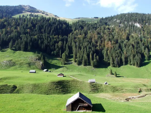 Estábulos Fazendas Pastagens Gado Cordilheira Alpstein Cantão Appenzell Innerrhoden Suíça — Fotografia de Stock