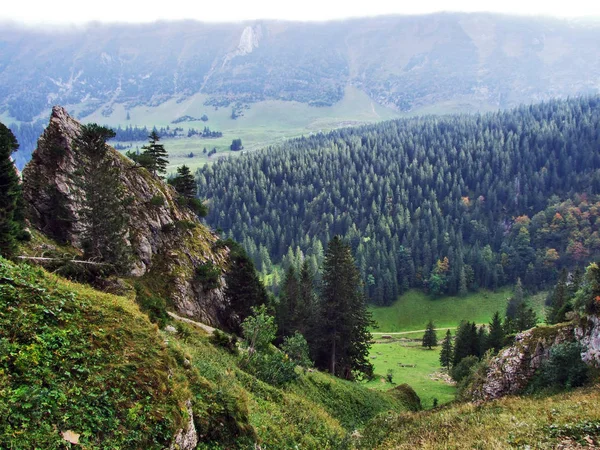 山团的石头和岩石 Alpstein 瑞士阿彭策尔内罗登州 — 图库照片