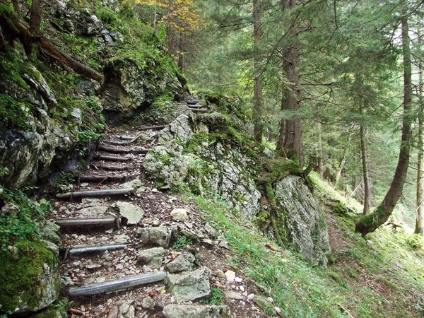 石や岩山大衆 Alpstein アッペンツェル Innerrhoden カントン スイス連邦共和国の — ストック写真