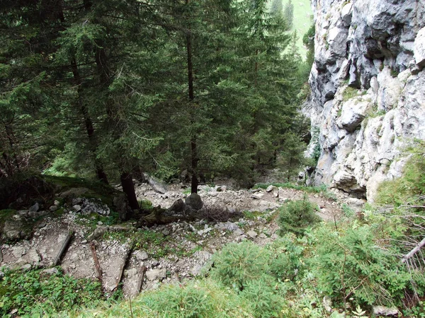 Pietrele Stâncile Maselor Montane Alpstein Cantonul Appenzell Innerrhoden Elveția — Fotografie, imagine de stoc