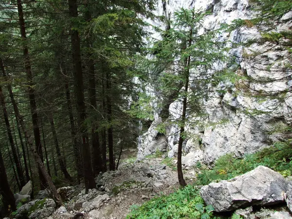 Kameny Skály Horské Masívy Alpstein Kanton Appenzell Innerrhoden Švýcarsko — Stock fotografie