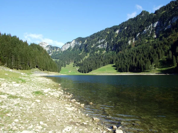 Lago Alpino Seealpsee Cordillera Alpstein Cantón Appenzell Innerrhoden Suiza —  Fotos de Stock