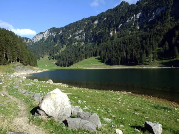 Lac Alpin Seealpsee Dans Chaîne Montagnes Alpstein Canton Appenzell Innerrhoden — Photo