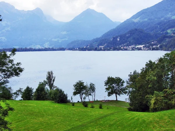 Rano Widoku Jezioro Walensee Amden Osada Kantonu Gallen Szwajcaria — Zdjęcie stockowe
