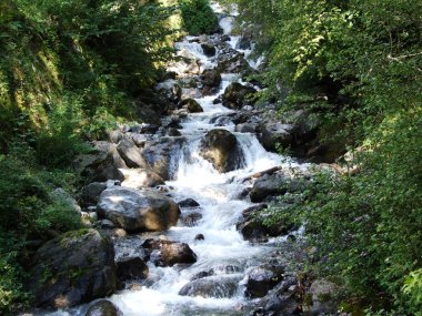 Art arda sıralı Bracherbach akışı Braunwald orman - Canton Glarus, İsviçre