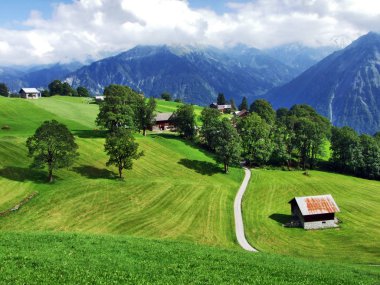 Ahır ve çiftliklerde sığır otlaklar Braunwald alanı - Canton Glarus, İsviçre