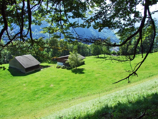 Istállók Gazdaságok Szarvasmarha Legelőkön Braunwald Area Canton Glarus Svájc — Stock Fotó