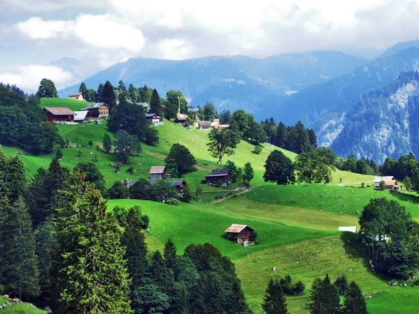 Stáje Farmy Pastvinách Dobytek Braunwald Oblast Kanton Glarus Švýcarsko — Stock fotografie