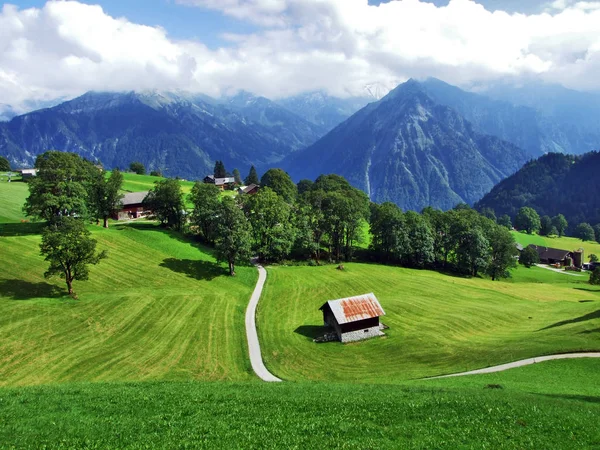 Stáje Farmy Pastvinách Dobytek Braunwald Oblast Kanton Glarus Švýcarsko — Stock fotografie