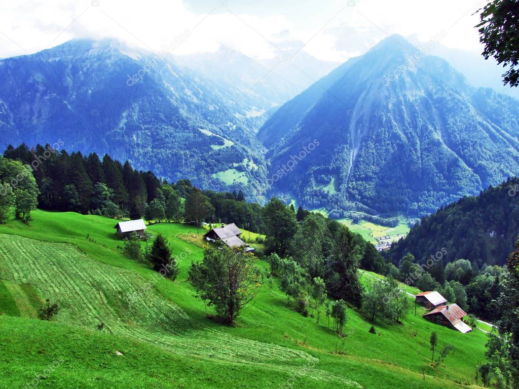 Stables and farms on cattle pastures of the Braunwald area - Canton of Glarus, Switzerland