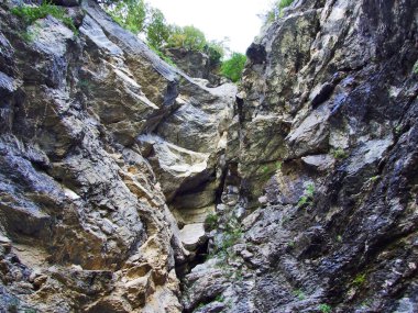 Taşlar ve kayalar Braunwald - Canton Glarus, İsviçre'nin orman alanında