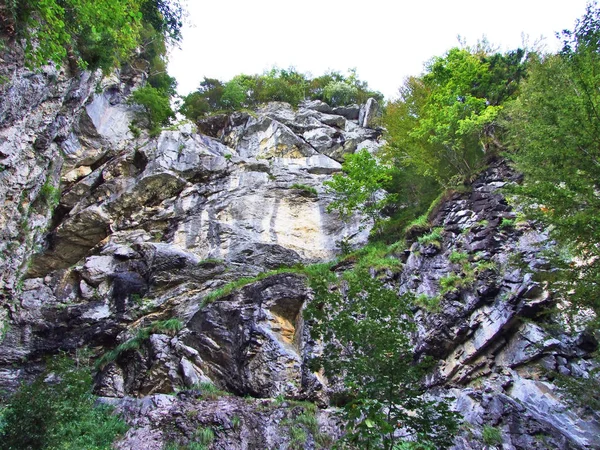 Pedras Rochas Área Florestal Braunwald Cantão Glarus Suíça — Fotografia de Stock